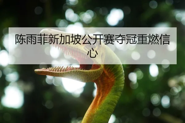 陈雨菲新加坡公开赛夺冠重燃信心