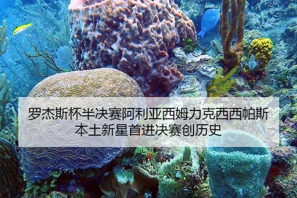 luo-jie-si-bei-ban-jue-sai-a-li-ya-xi-mu-li-ke-xi-xi-pa-si-ben-tu-xin-xing-shou-jin-jue-sai-chuang-li-shi-3-409.jpg